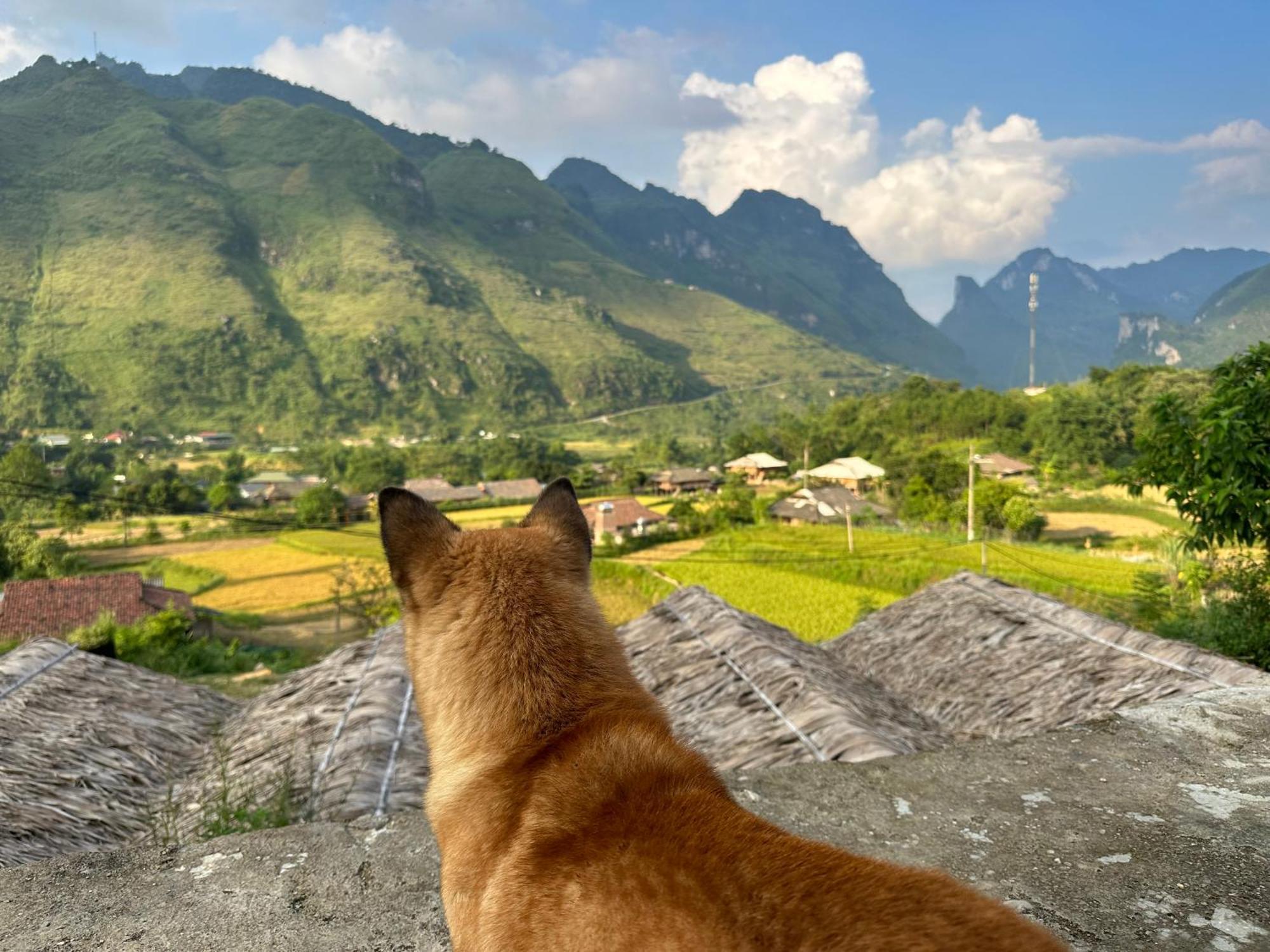 Du Gia Cozy Homestay & Tours Lang Cac Bagian luar foto