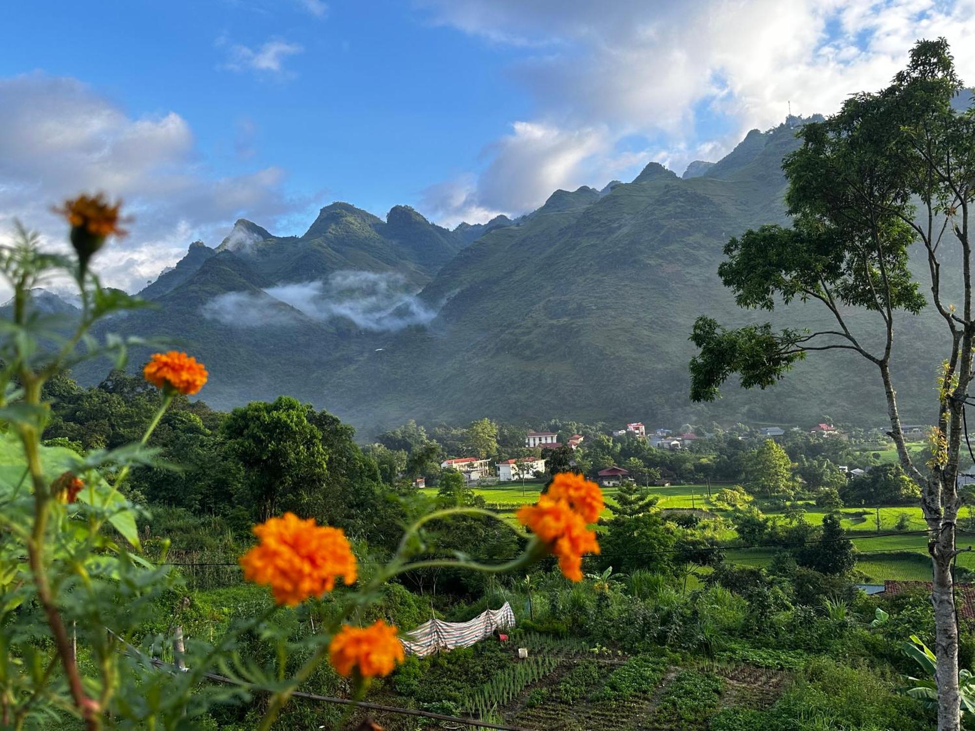 Du Gia Cozy Homestay & Tours Lang Cac Bagian luar foto
